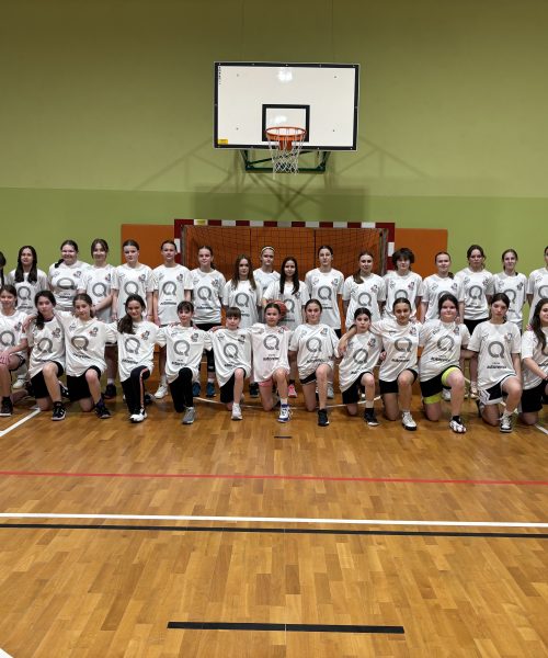 akademia koszykówki infocemp zebry kraków